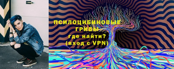 спиды Алексеевка
