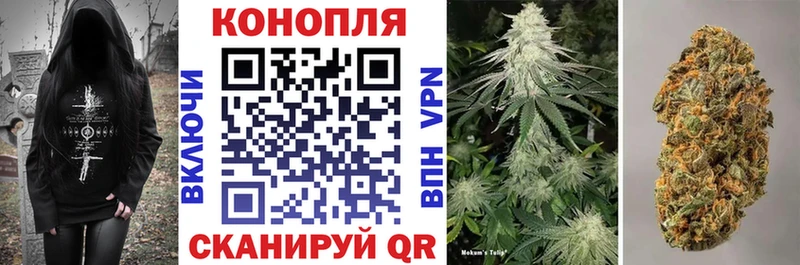 Конопля марихуана Лангепас